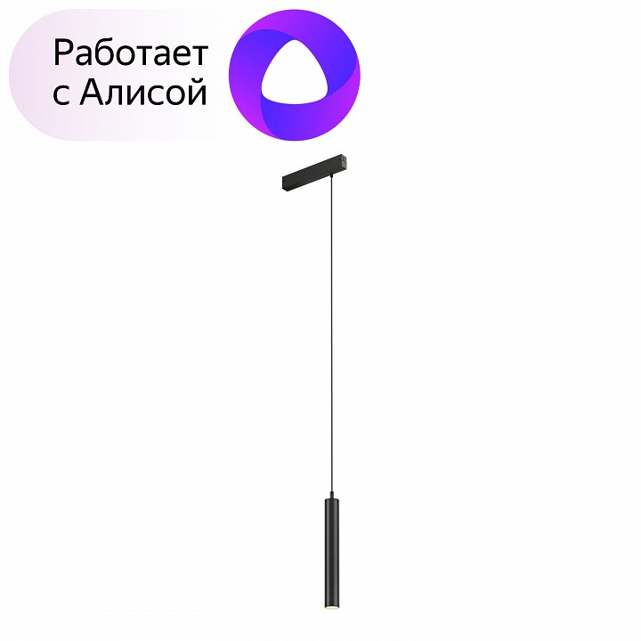 Подвесной светильник denkirs smart dk8008-bk