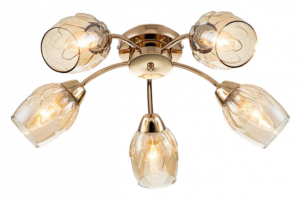 Потолочная люстра escada allium 663/5p
