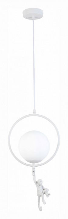 Подвесной светильник evoluce tenato sle115113-01