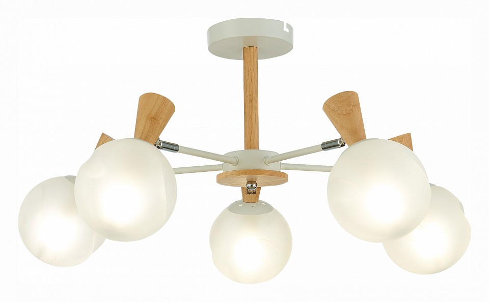 Люстра на штанге evoluce catania sle220702-05