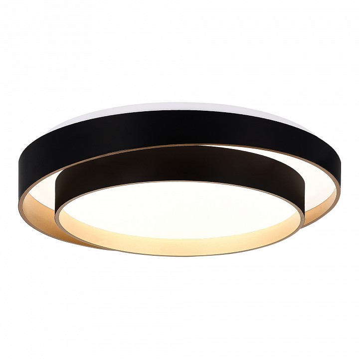 Накладной светильник evoluce crosby sle6009-402-01