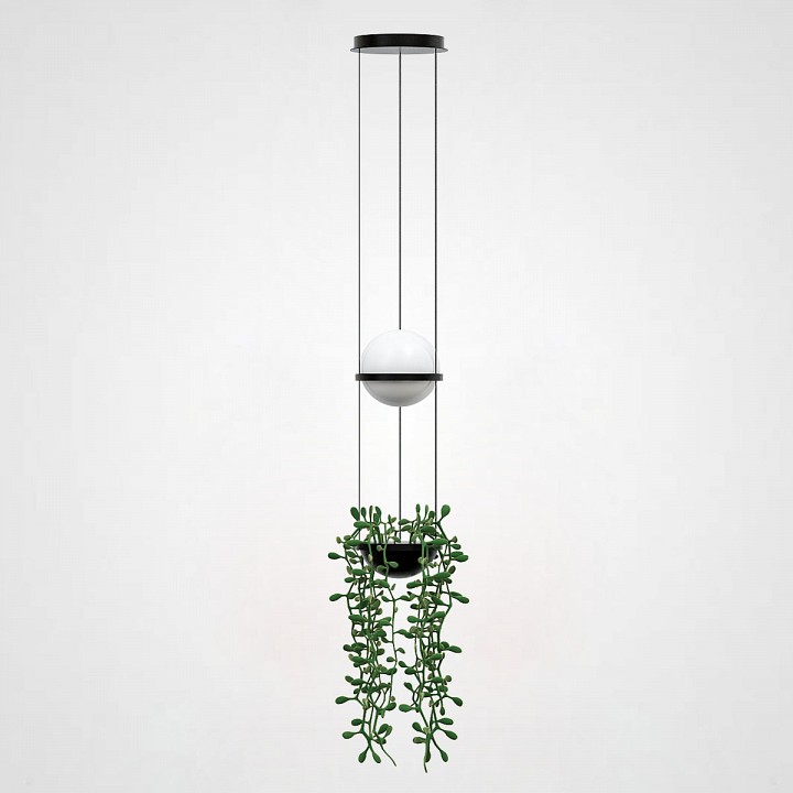 Подвесной светильник imperiumloft palma wall lamp 22.93727