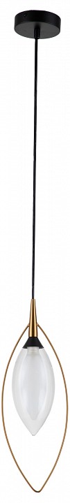 Подвесной светильник indigo fiore 13001/1p black
