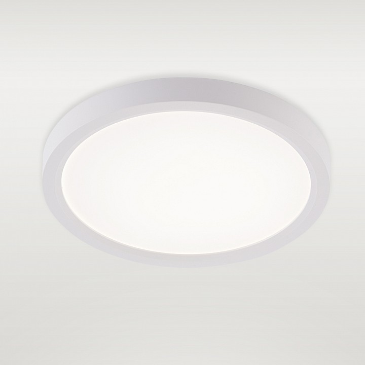 Накладной светильник natali kovaltseva plain led lamps 81113/1c