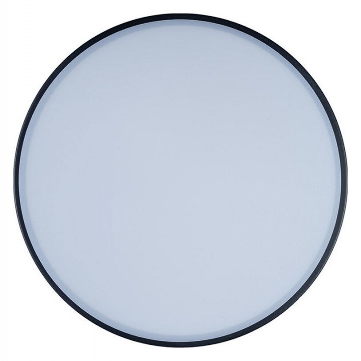 Накладной светильник loft it axel 1 10002/12 black