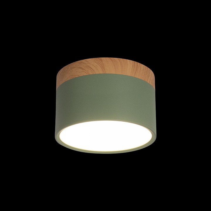 Накладной светильник loft it grape 10162 green