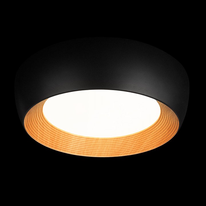 Накладной светильник loft it folk 10255/500 black