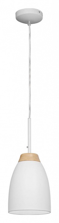 Подвесной светильник loft it watchman loft4402a-wh