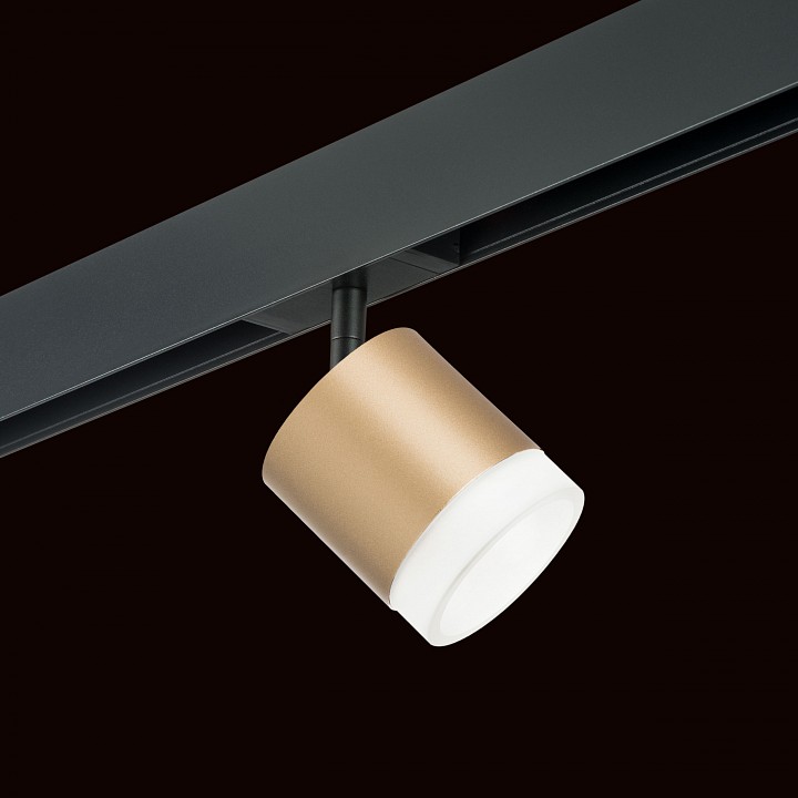 Светильник на штанге lightstar rullo pro349080