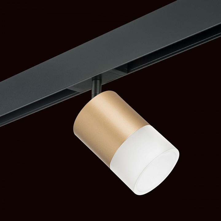 Светильник на штанге lightstar rullo pro349081