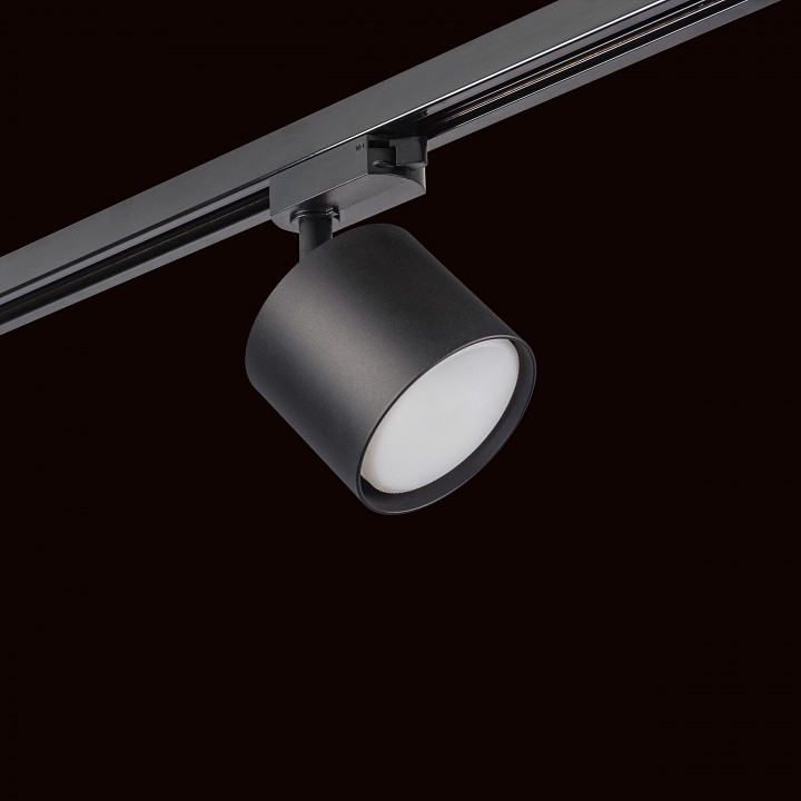 Светильник на штанге lightstar rullo r1t3487