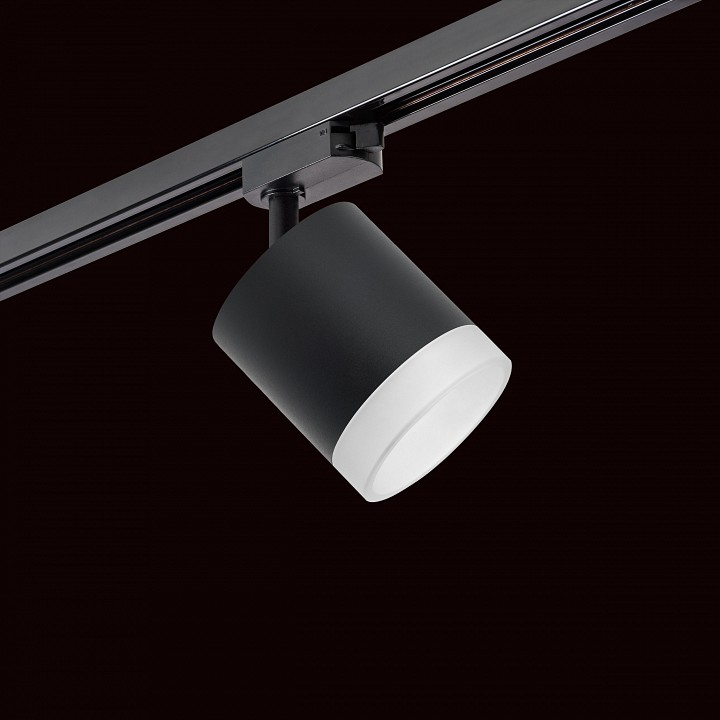 Светильник на штанге lightstar rullo r1t348780