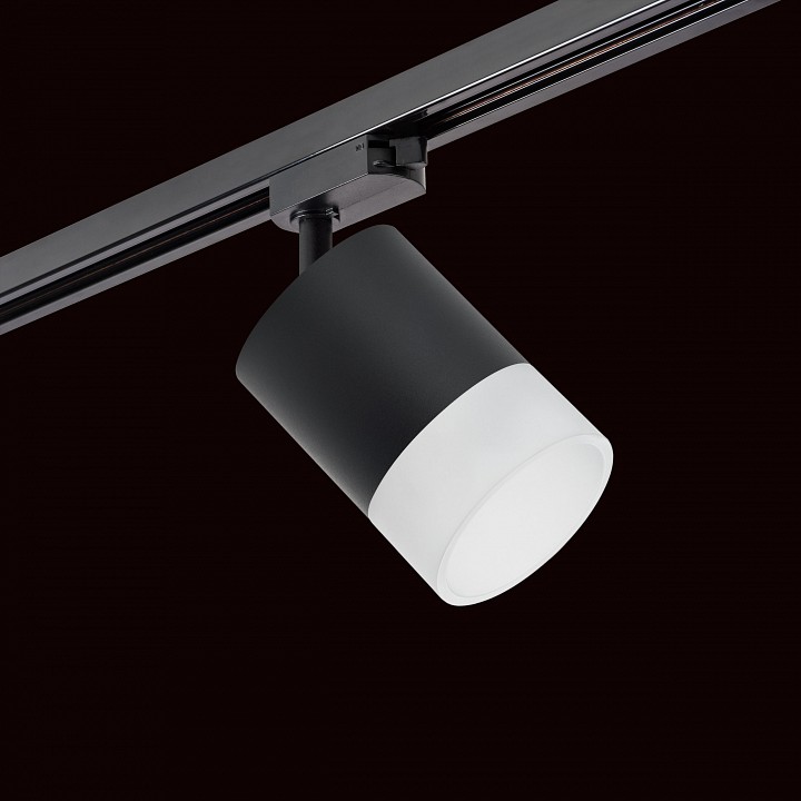 Светильник на штанге lightstar rullo r1t348781