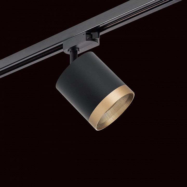 Светильник на штанге lightstar rullo r1t348790