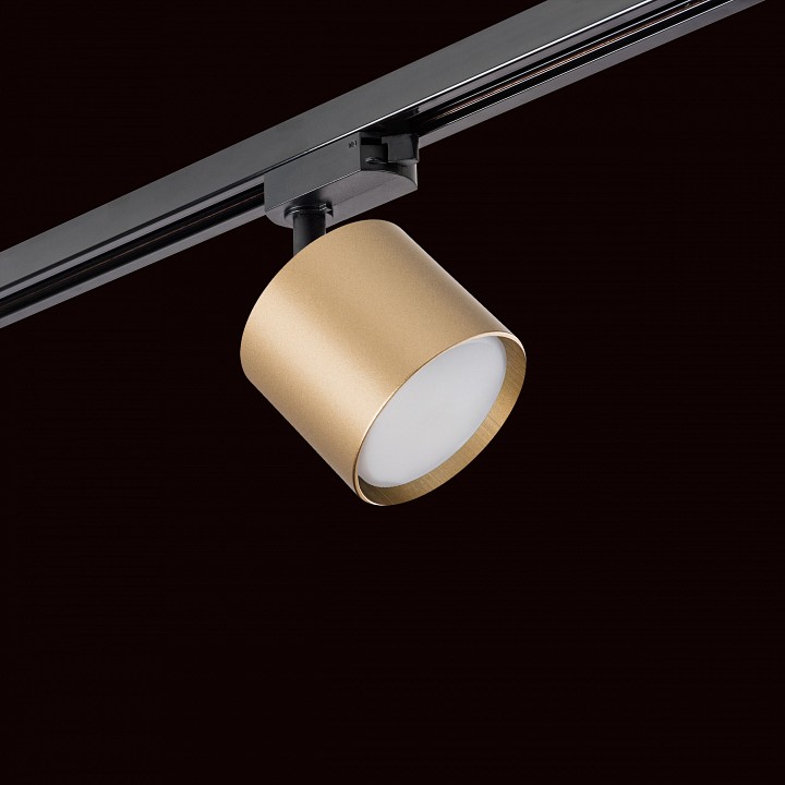 Светильник на штанге lightstar rullo r1t3490