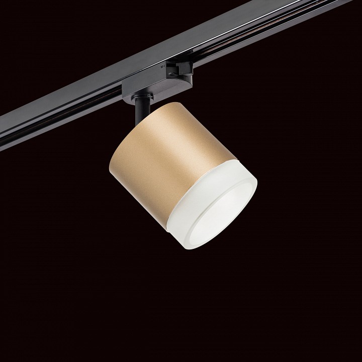 Светильник на штанге lightstar rullo r1t349080