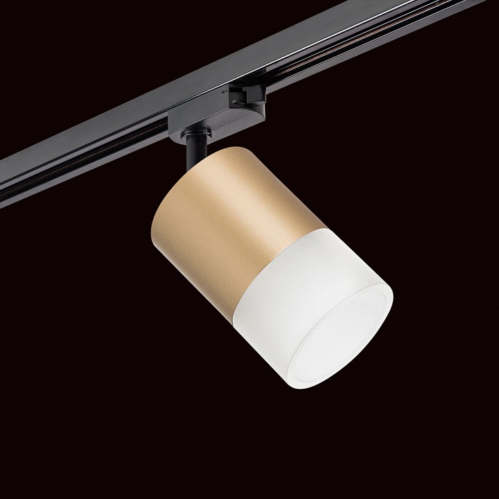 Светильник на штанге lightstar rullo r1t349081