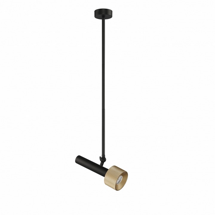 Светильник на штанге iledex delta 2361-1 bk+br