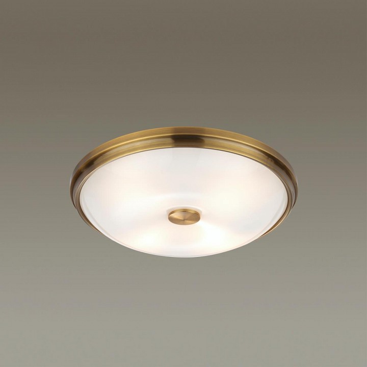 Накладной светильник odeon light pelow 4956/4