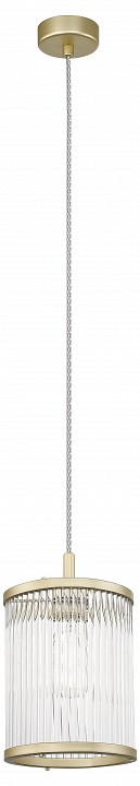 Подвесной светильник simple story 5881 5881-1pl