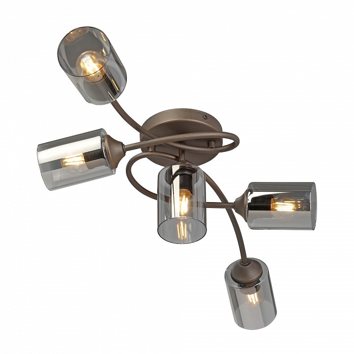 Потолочная люстра vitaluce v2048 v2048-7/5pl