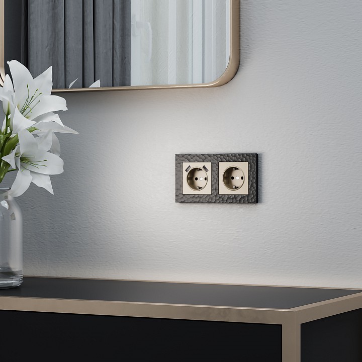 Накладка для розетки с заземлением и 2хusb werkel шампань w1179511