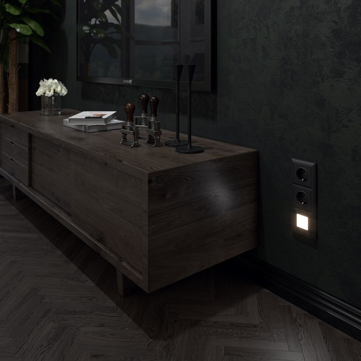 Заглушка для поста с подсветкой, Без рамки werkel черный w1154308