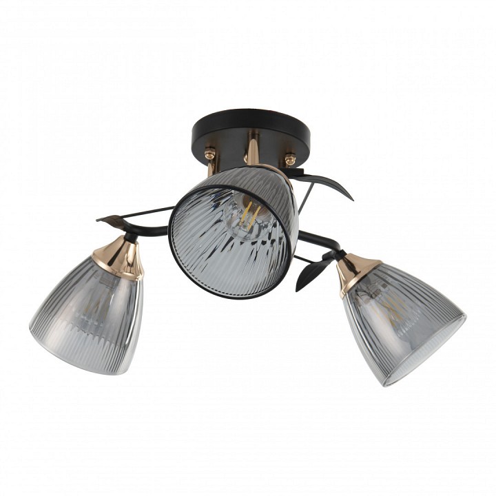 Потолочная люстра arte milano amalfi-322610 322610/3 bk+fg