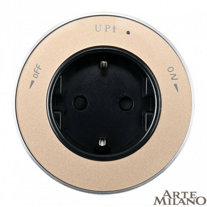 Розетка с заземлением на треке arte milano am-track-sockets 380011ts/es gold