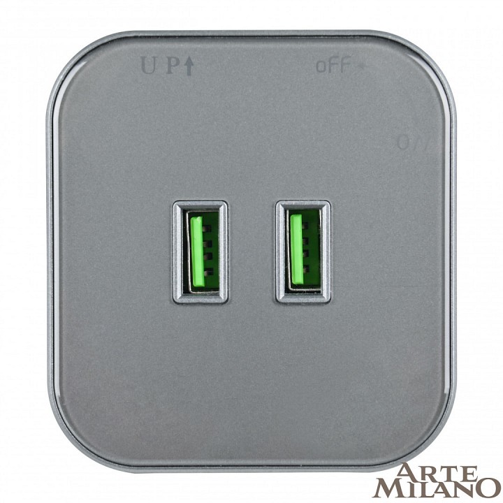 Розетка 2xusb на треке arte milano am-track-sockets 380022ts/usbx2 grey
