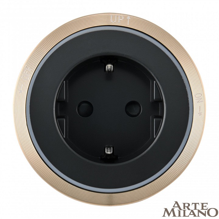 Розетка с заземлением на треке arte milano am-track-sockets 380066ts led/es gold
