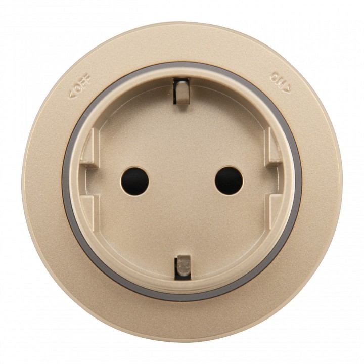 Розетка с заземлением на треке arte milano am-track-sockets-39 397951ts/es gold