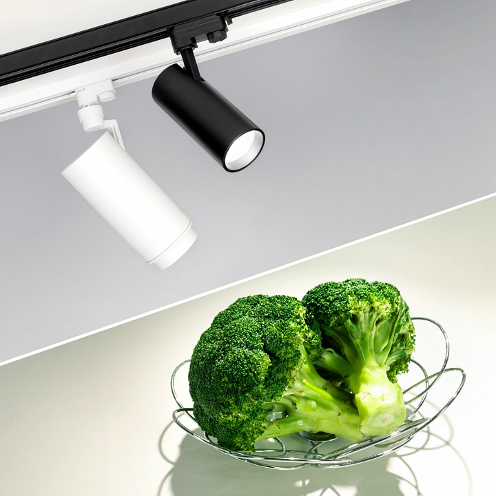 Светильник на штанге arlight zeus food 032454