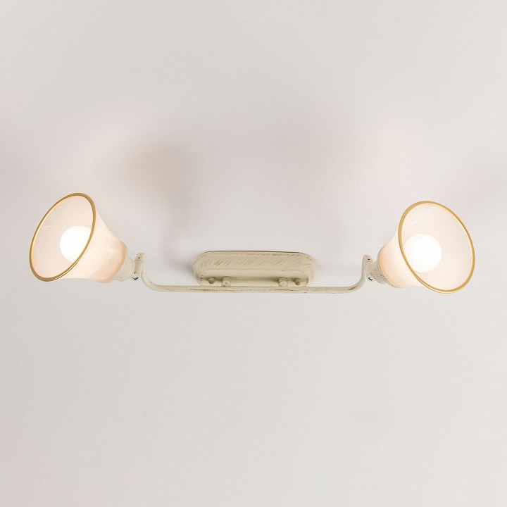 Спот citilux прованс cl511524