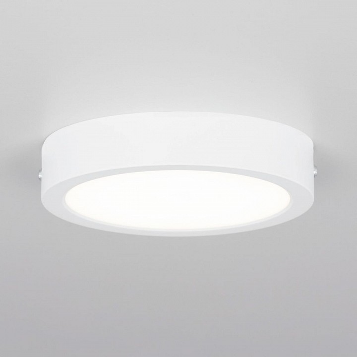 Накладной светильник citilux галс cl5516n