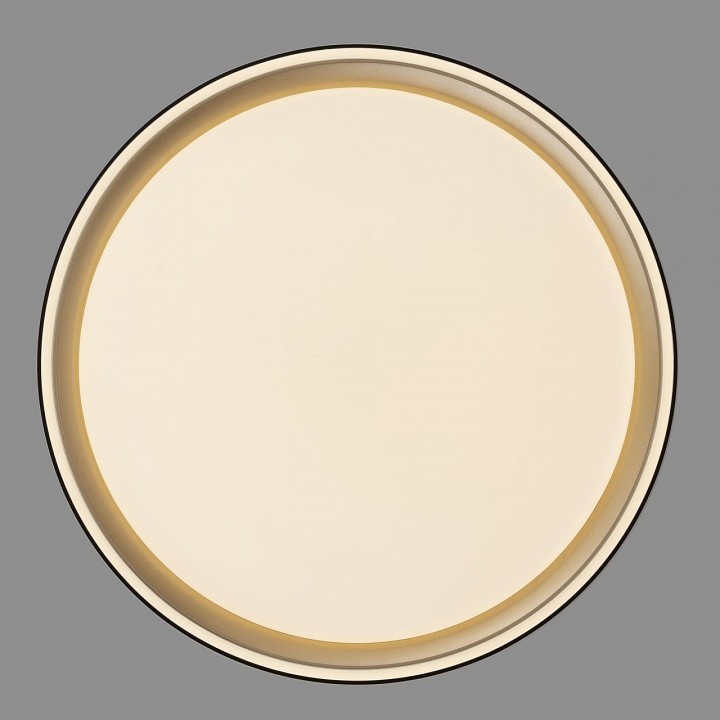 Накладной светильник citilux boss cl751251g