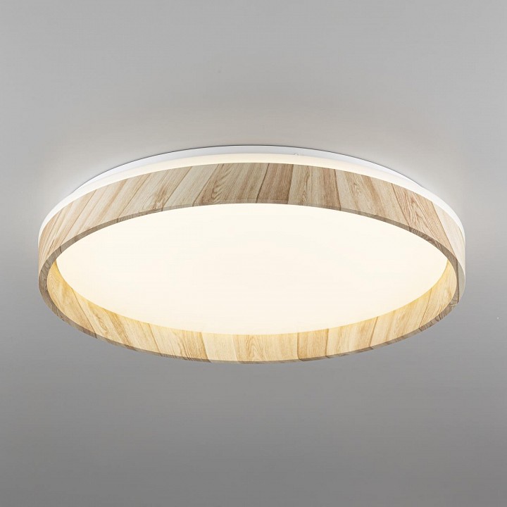 Накладной светильник citilux enzo cl753452g