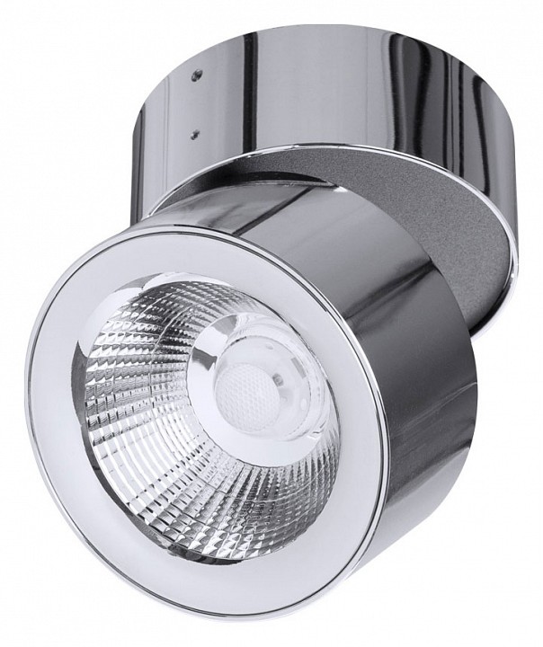 Накладной светильник divinare urchin 1295/02 pl-1