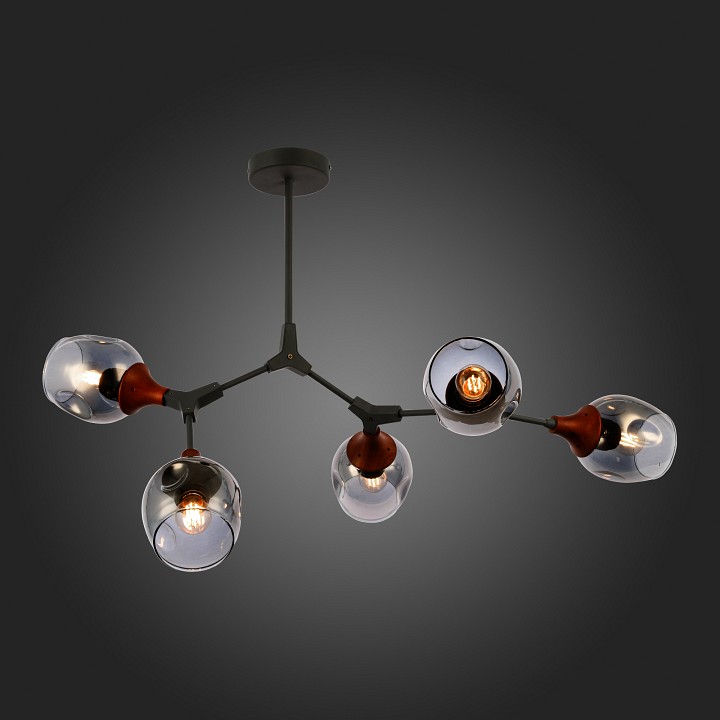 Люстра на штанге evoluce ciotolla sle113402-05