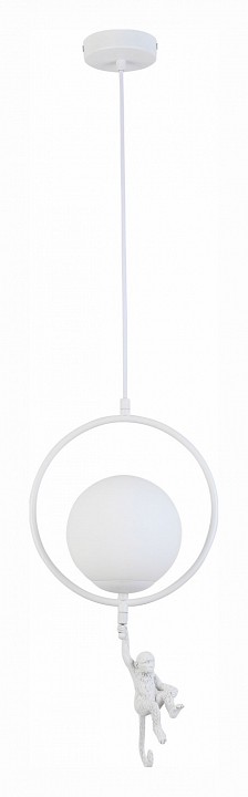 Подвесной светильник evoluce tenato sle115113-01