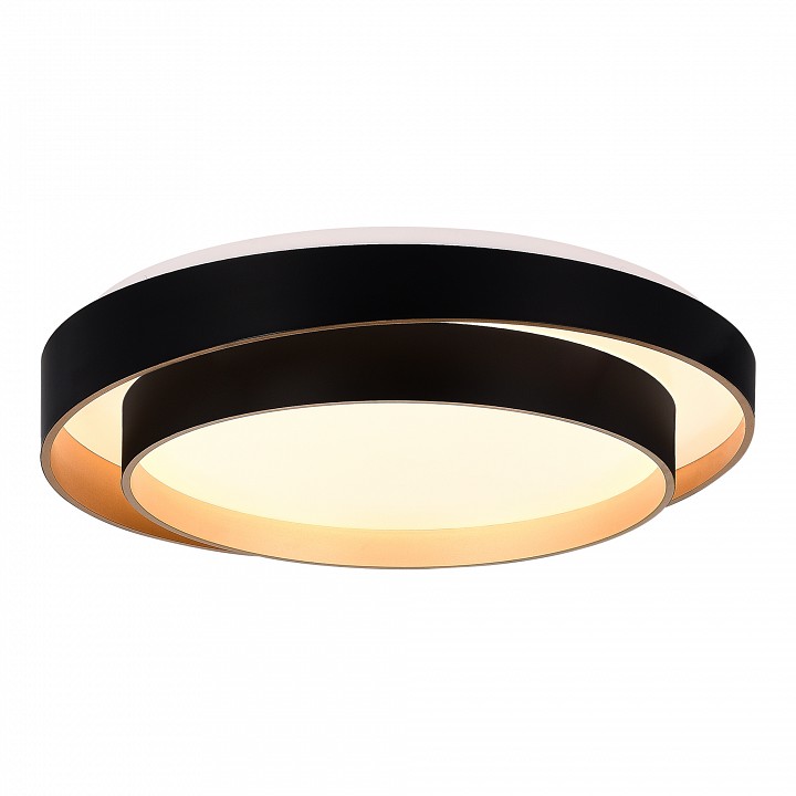 Накладной светильник evoluce crosby sle6009-402-01