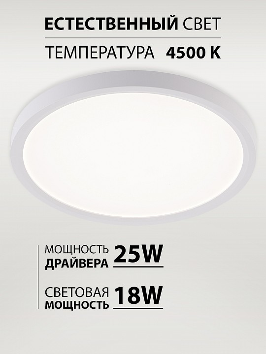 Накладной светильник natali kovaltseva plain led lamps 81113/2c