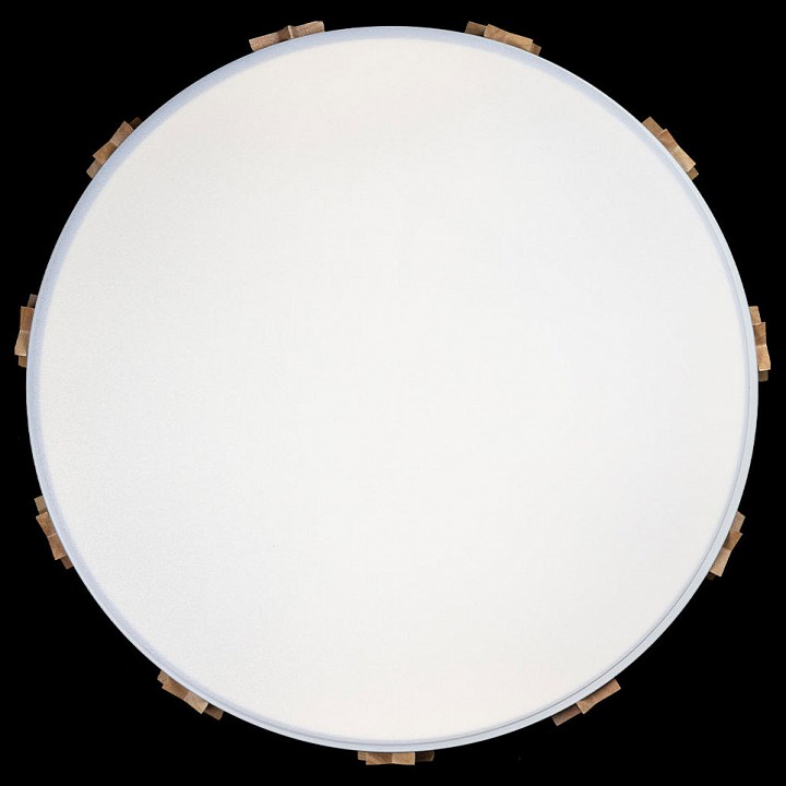 Накладной светильник loft it axel 5 10006/36 white