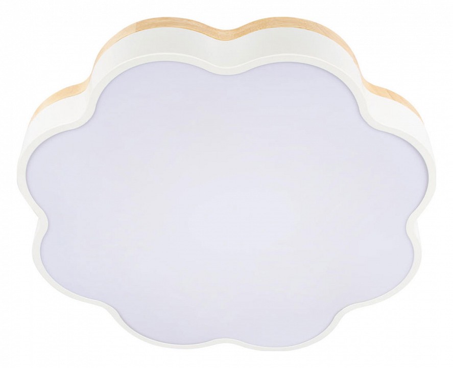 Накладной светильник loft it axel 10225/36 white