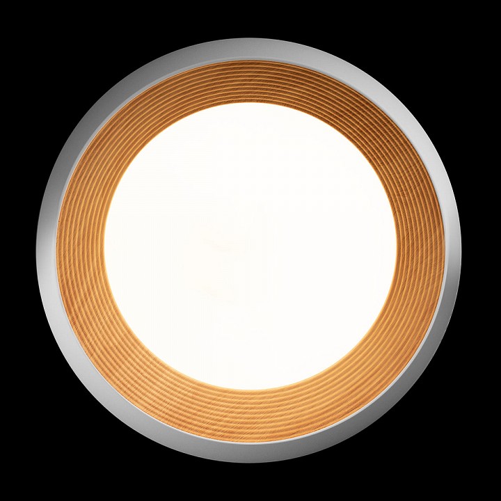 Накладной светильник loft it folk 10255/500 white