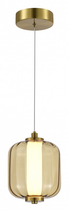 Подвесной светильник st-luce summer sl1193.303.01