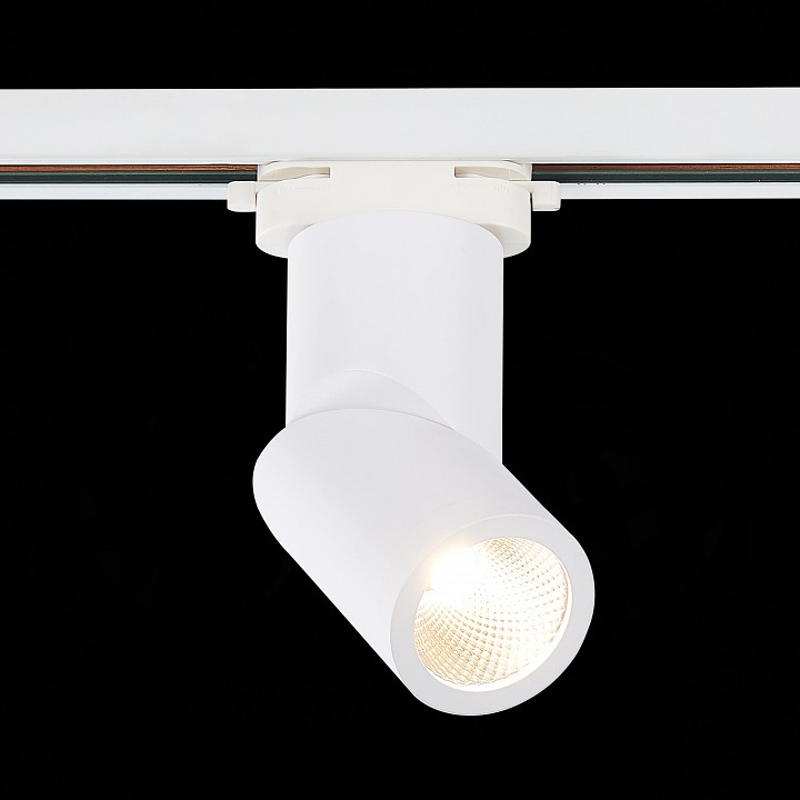 Светильник на штанге st-luce st650 st650.536.10