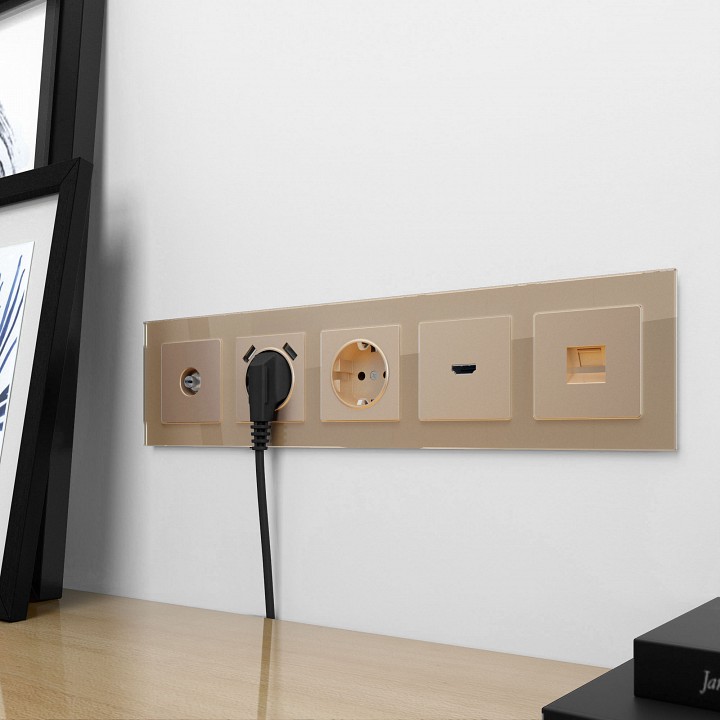 Накладка для розетки с заземлением и 2хusb werkel шампань w1179511