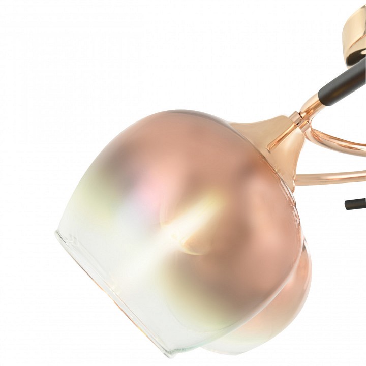 Потолочная люстра arte milano amalfi-324985 324985/5 fg+bk