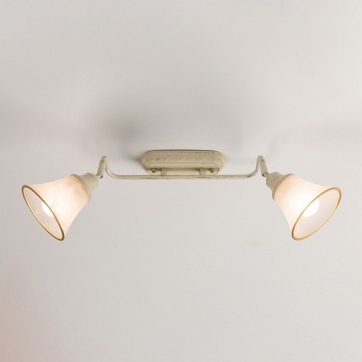 Спот citilux прованс cl511524